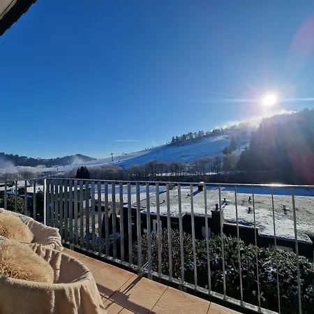 Willingenhome Apartment Willingen (Upland)