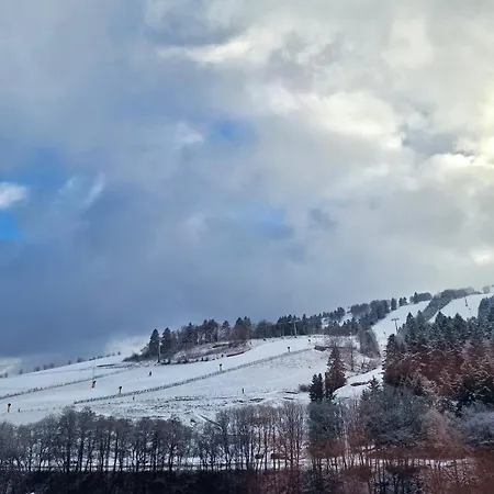 Willingenhome شقة *