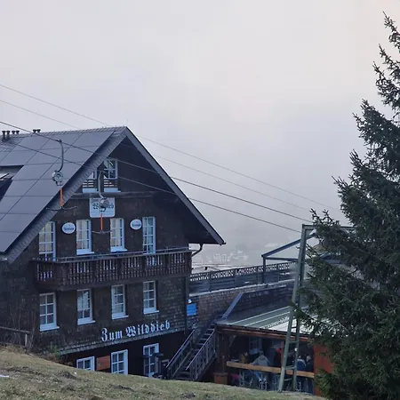 Willingenhome فيلنغن