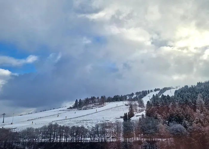 Willingenhome Apartment *