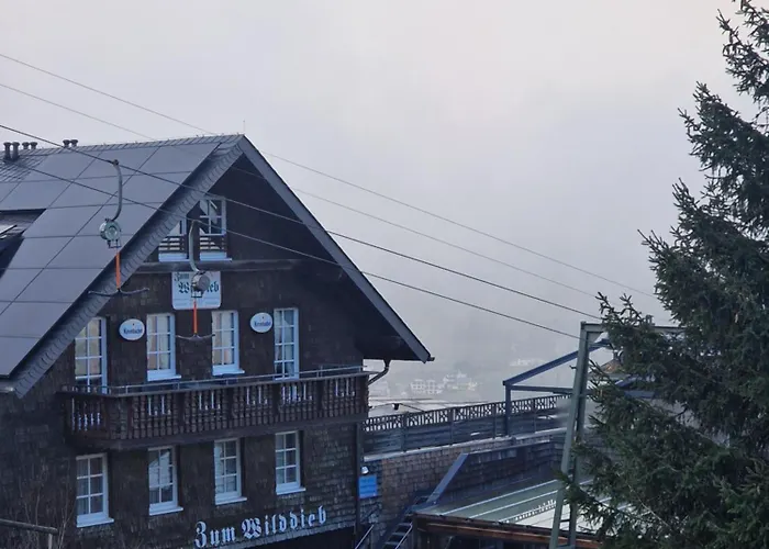 Willingenhome Willingen (Upland)